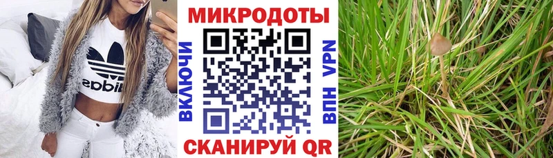 Купить Горячий Ключ Галлюциногенные грибы Psilocybe